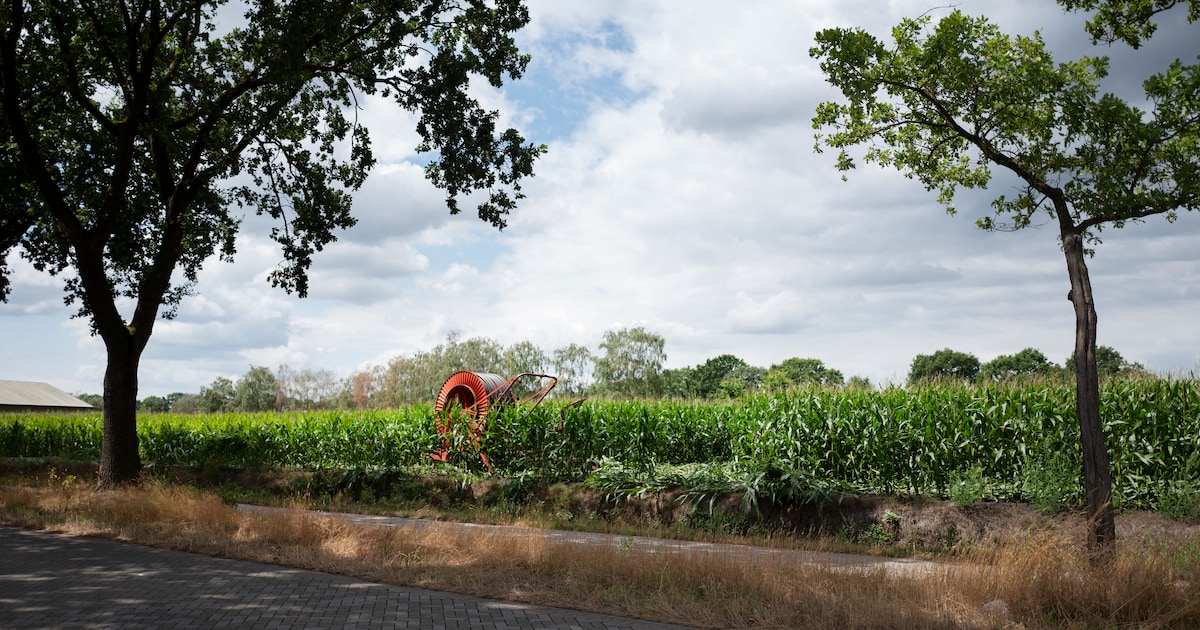Nieuwe wijk Lierop Buiten krijgt groen licht, maar zorgen over wateroverlast blijven