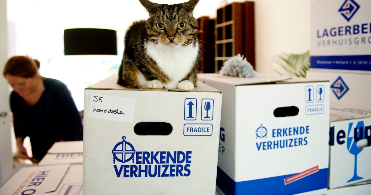 Alzheimer Trefpunt houdt bijeenkomst over verhuizen bij dementie in Lichtenvoorde