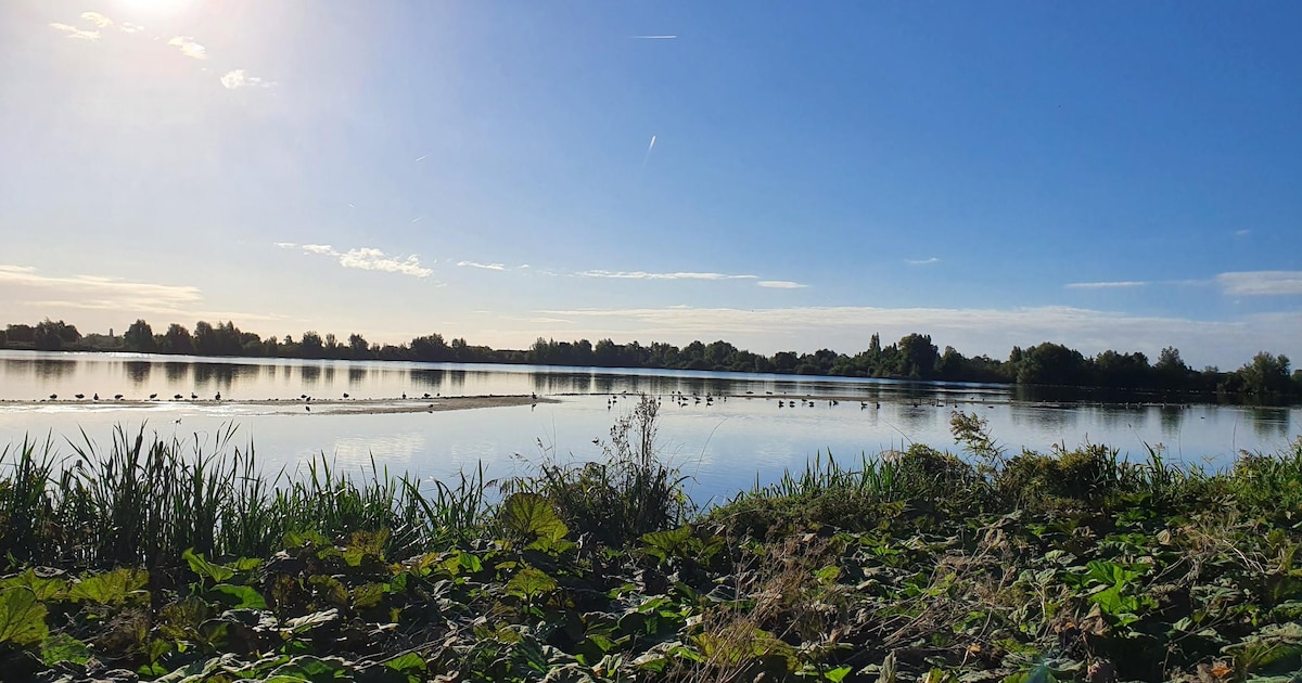 Vrouwen mishandeld en aangerand bij Reeuwijkse Plassen, ook auto vernield