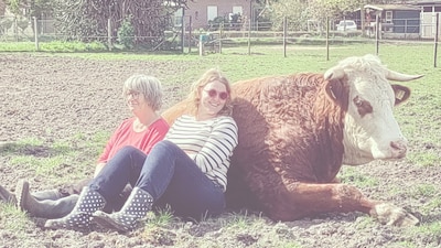 Image related to the article