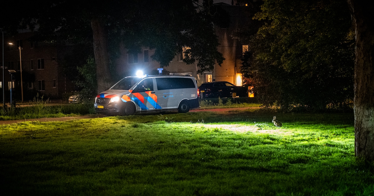 Opmerkelijk Burgernetbericht in Alphen: drie mara's ontsnapt uit Avifauna, politie rijdt met vangnet