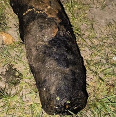 Magneetvisser haalt explosief uit water in Tilburg, Explosieven Opruimingsdienst komt ’s nachts in a
