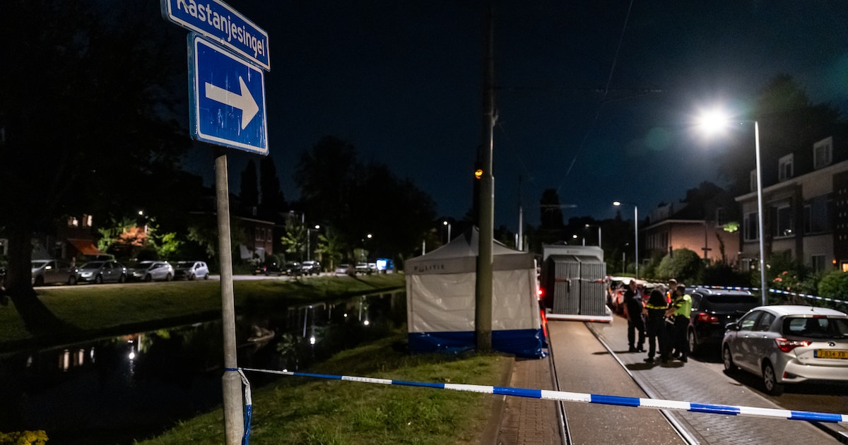 Overleden persoon uit het water gehaald in Rotterdam, politie: ‘Geen sprake van een misdrijf’