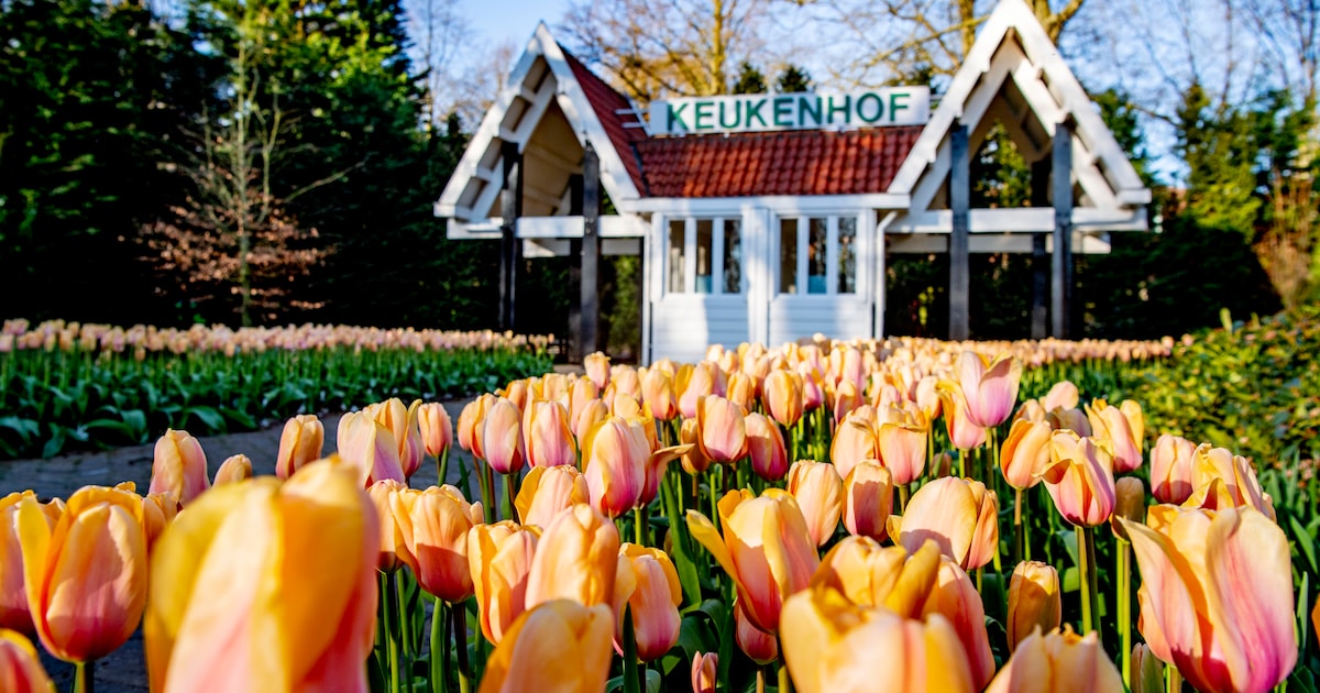 Geld aanvragen voor maatschappelijk project? Gemeente Hillegom organiseert Fondsenmarkt