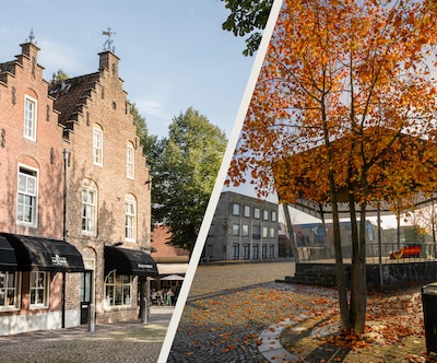 Image related to the article