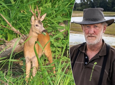 Image related to the article