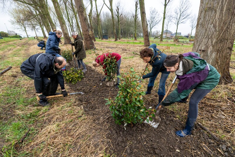 Speciale plantdag in voedselbos De VliereLier: iedereen mag meedoen ...