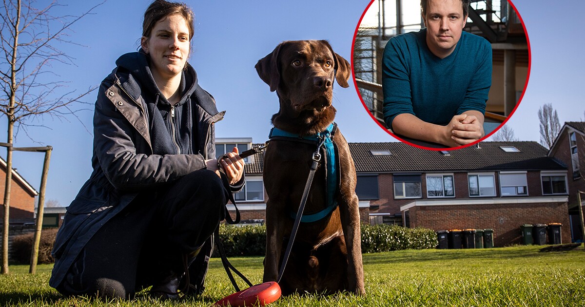 Er komt niets goeds van rotzooi: dode honden, dwangsommen en vervuilde ...
