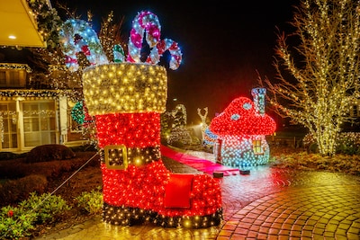 Image related to the article