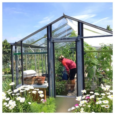 Het ultieme moestuingeluk van Jacqueline: ’s middags uit de grond halen wat ’s avonds op je bord lig
