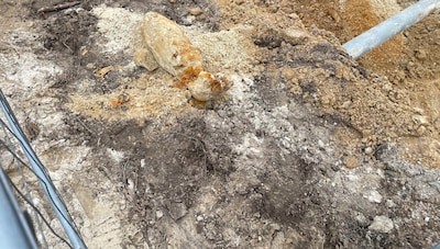 Straat in Groesbeek direct afgesloten na vondst vliegtuigbom: Explosieven Opruimingsdienst rukt uit