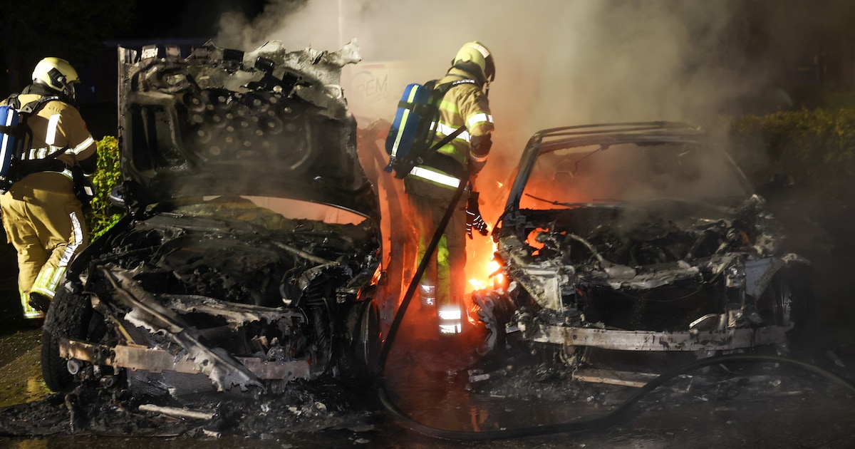 Twee auto's in as gelegd door brand in Zeist