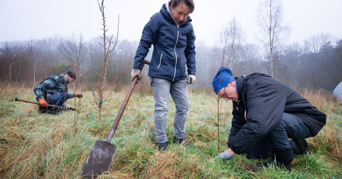 Voedselbos Batonia Beekenbos in Galder doet mee aan Open Voedselbossendag