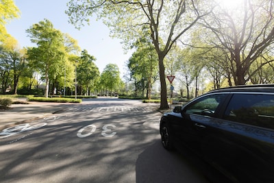 Image related to the article