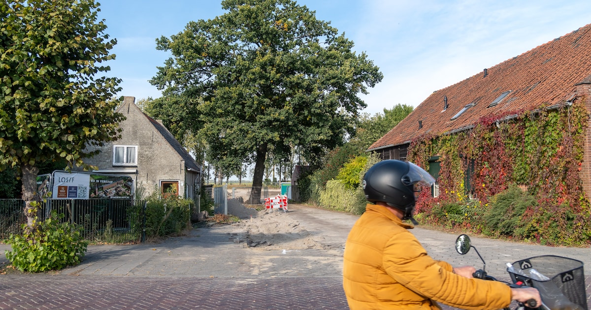 150 jaar oude eik in Waalwijk mag na maandenlang getouwtrek toch gekapt worden: projectontwikkelaar 
