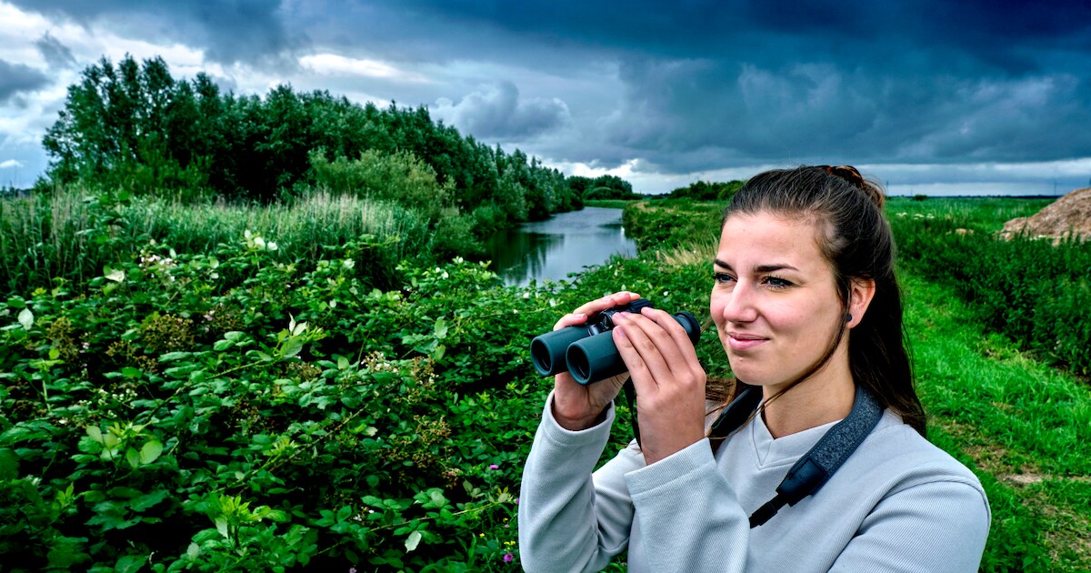 Boswachter Vera Willemsen: ‘Dit is het mooiste, onontdekte stukje Hoeksche natuur’