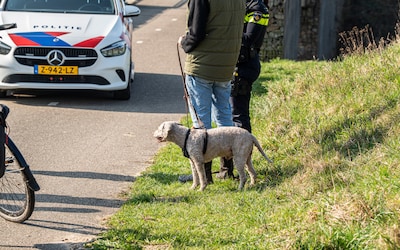 Fietser gewond na botsing met hond in Arnhem