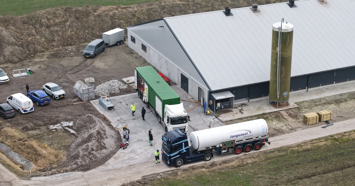 Vogelgriep treft pluimveebedrijf in Uithuizermeeden, NVWA monitort omgeving