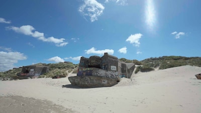 Ongemakkelijke waarheid komt bovendrijven: Nederlandse ondernemers verdienden flink aan Atlantikwall