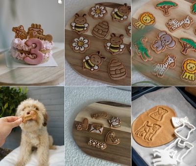 Hond Frenkie kreeg darmproblemen dus bakte Kelly zelf zijn koekjes, nu maakt ze verjaardagstaarten v