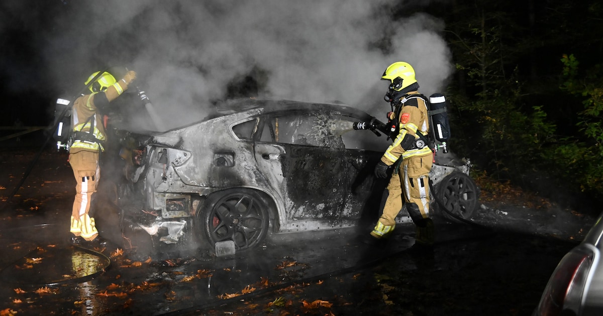 Auto gaat in vlammen op bij bos in Breda