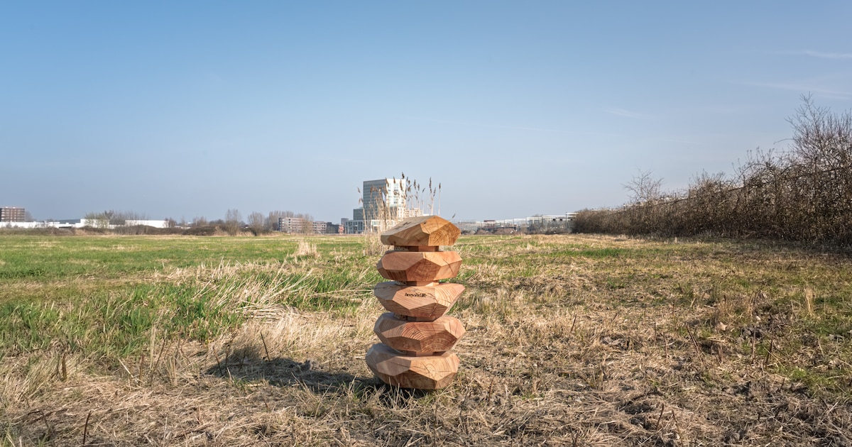 Dit houten kunstwerk in Breda is niet alleen kunst, maar ook een thuis voor bijen
