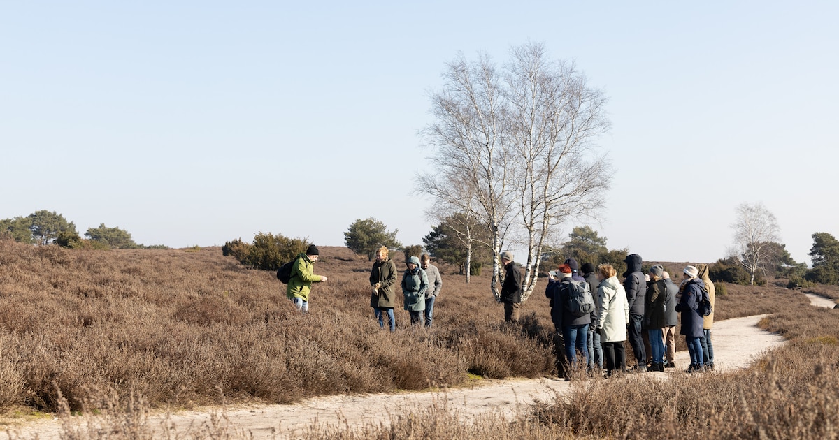 Bos op Bezoek excursie geeft Oegstgeest tijdelijk extra groen, bomen verhuizen na 12 april