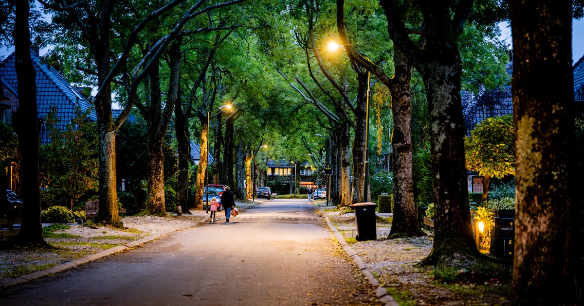 Bezorgde raadsleden willen dat gemeente De Bilt stopt met dimmen van straatverlichting: ‘Onveilig’