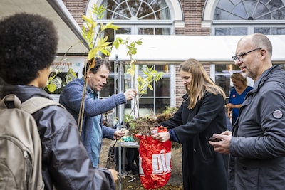 amsterdam-de-stichting-de-gezonde-stad-deelt-gratis-bomen-uit-aan-amsterdammers-de-inwoners-die-een-boom-planten-helpen-volgens-de-stichting-hiermee-de-stad-groener-en-koeler-te-maken-anp-dingena-mol