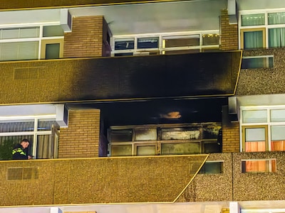 Image related to the article