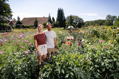 Image related to the article