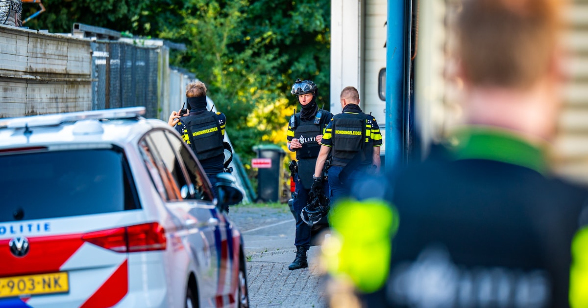 Gericht geschoten op persoon in Alphen, grote politiemacht op de been: agenten doorzoeken pand