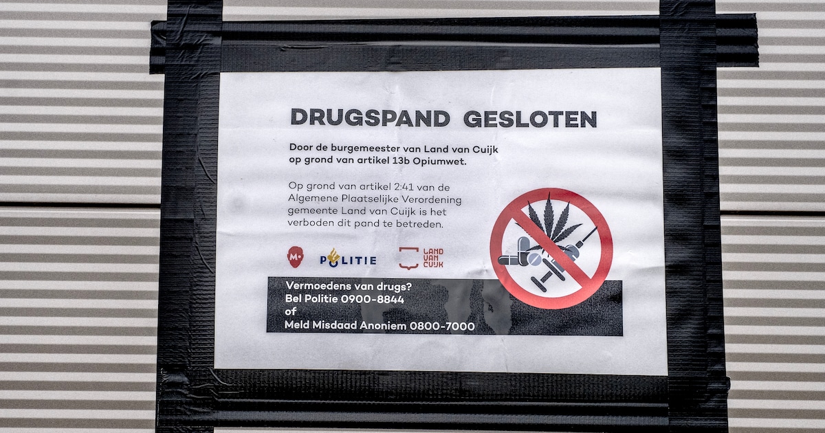 371 hennepplanten gevonden in Thorn: woning en perceel drie maanden op slot na politieactie