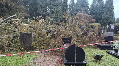 LIVE storm Austen| Storm Austen zorgt voor problemen op verschillende plekken in het land: bomen op voertuigen en beschadigde graven