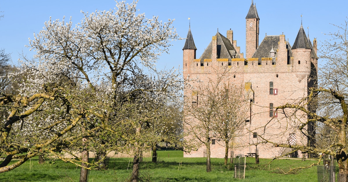 Kamermuziekfestival in Kasteel Doornenburg