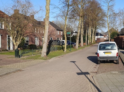 Bergeijk pakt Prins Bernhardstraat aan: 1,3 miljoen euro voor nieuwe weg, bomen en veiliger overstek