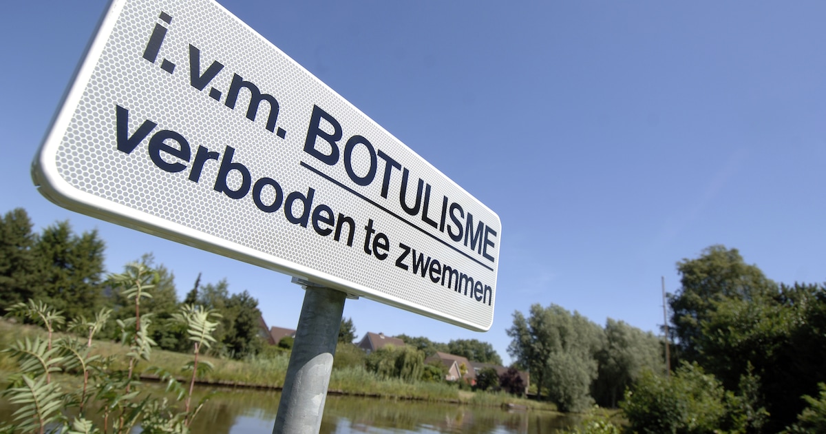 Dode vissen door botulisme en blauwalg op meerdere plekken in gemeente Edam-Volendam