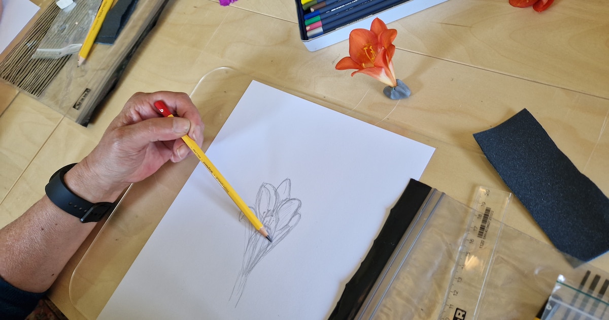 Workshop botanisch tekenen vindt plaats in Rockanje