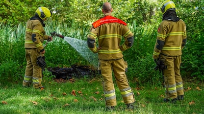 Boomstronk vliegt in brand naast schoolplein in Oss