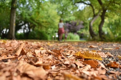 Zon of regen? Dit is de weersverwachting voor oktober in Enschede