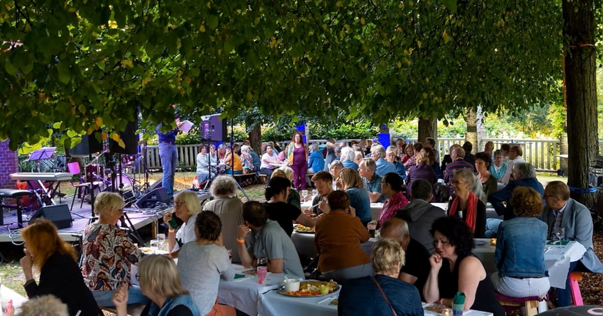 Tippie! Livemuziek en een driegangenmenu in het Julianapark