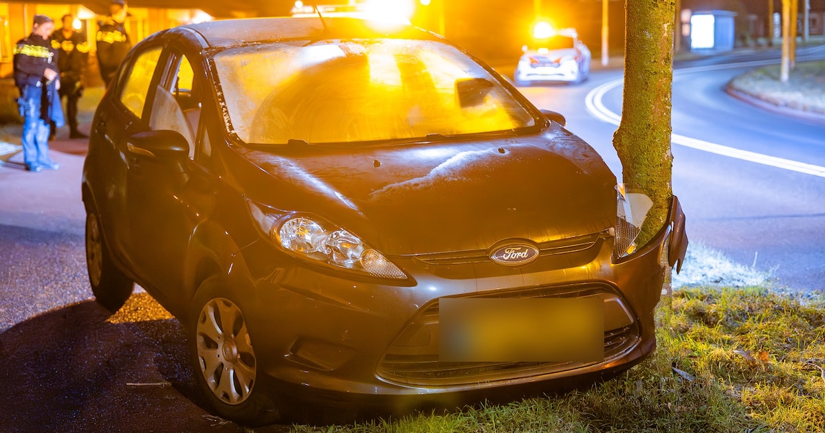 Automobilist ramt boom langs fietspad in Wijchen