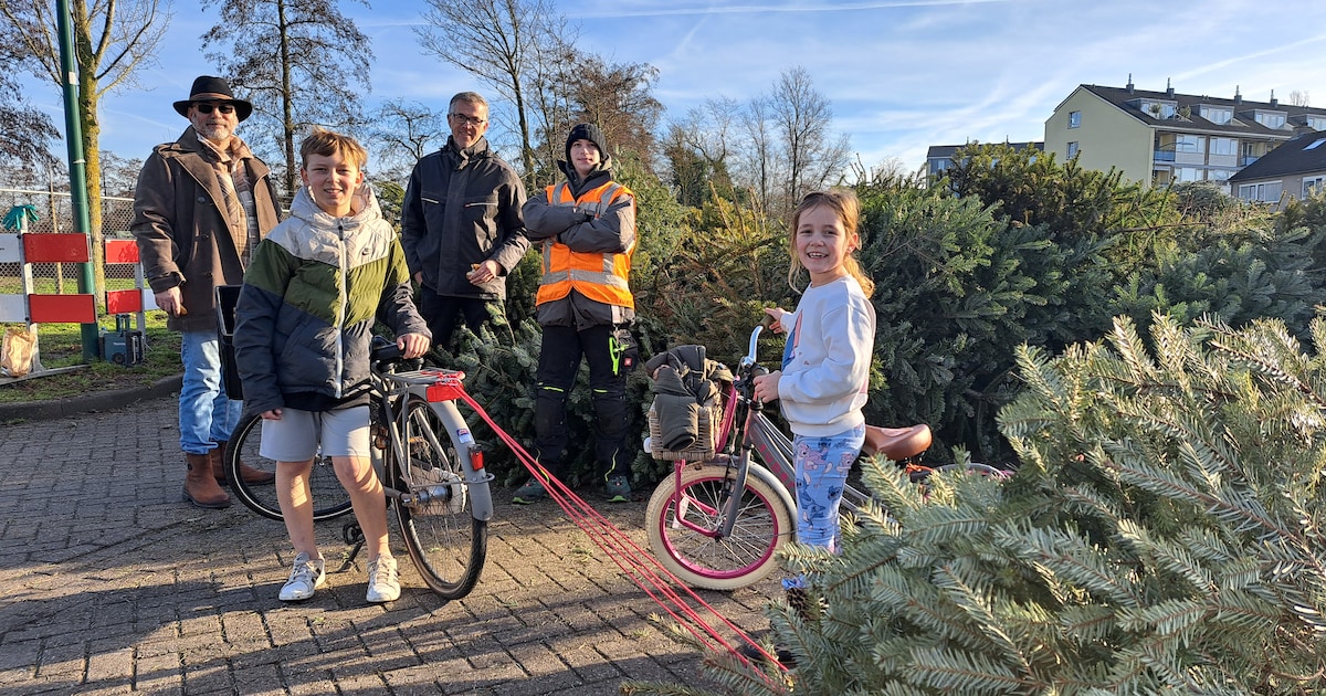 Kaj (10) en Puck (7) verzamelen kerstbomen voor 50 cent per stuk, maar harde werk wordt beloond in d