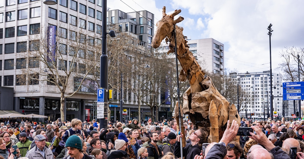 Kudde kartonnen dieren trekt door Rotterdam en raakt publiek met boodschap