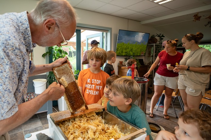Beeld bij artikel: Massale bijensterfte, maar de imkers gaan door: ‘Ik miste mijn volk, bijna zoals je een hond zou missen’