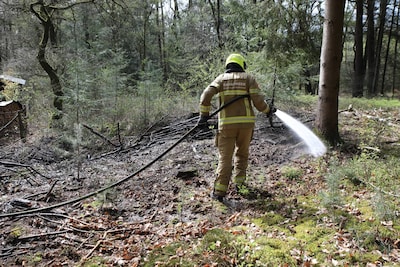 Opstoken van oud hout zorgt voor bosbrandje in Hoenderloo