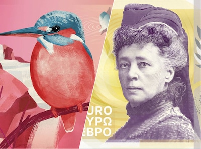 Haarlem wants to hear your take on the new euro bills: are you team bird or team human?