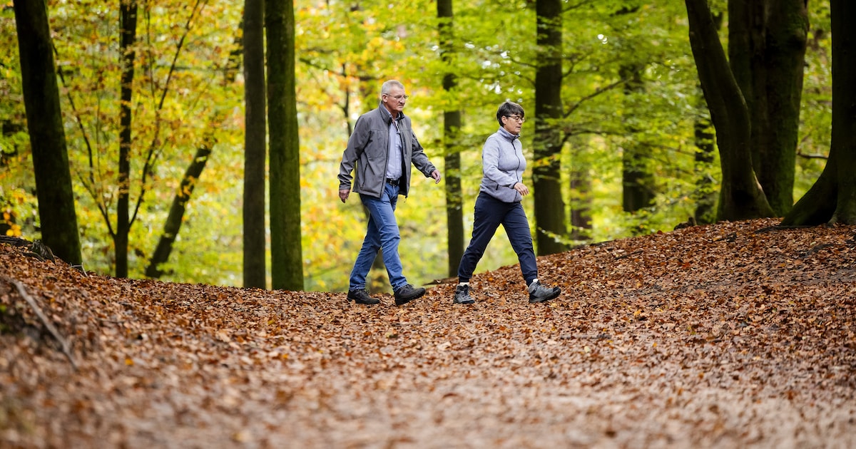 Ontdek de herfst op Landgoed Nienoord tijdens gratis wandeling