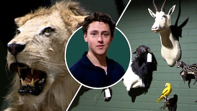 Image related to the article