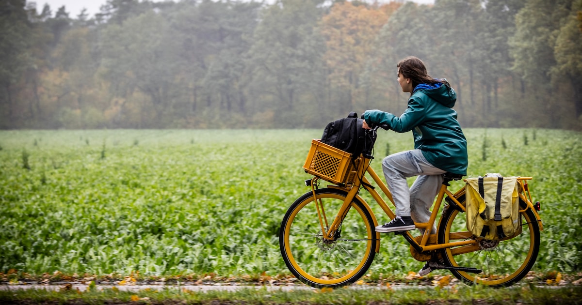 Felle buien, windstoten en vorst aan de grond: dit hemelvaartsweekend ...